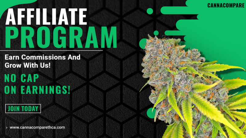 Introducing the CannaCompareTHCA Affiliate Program