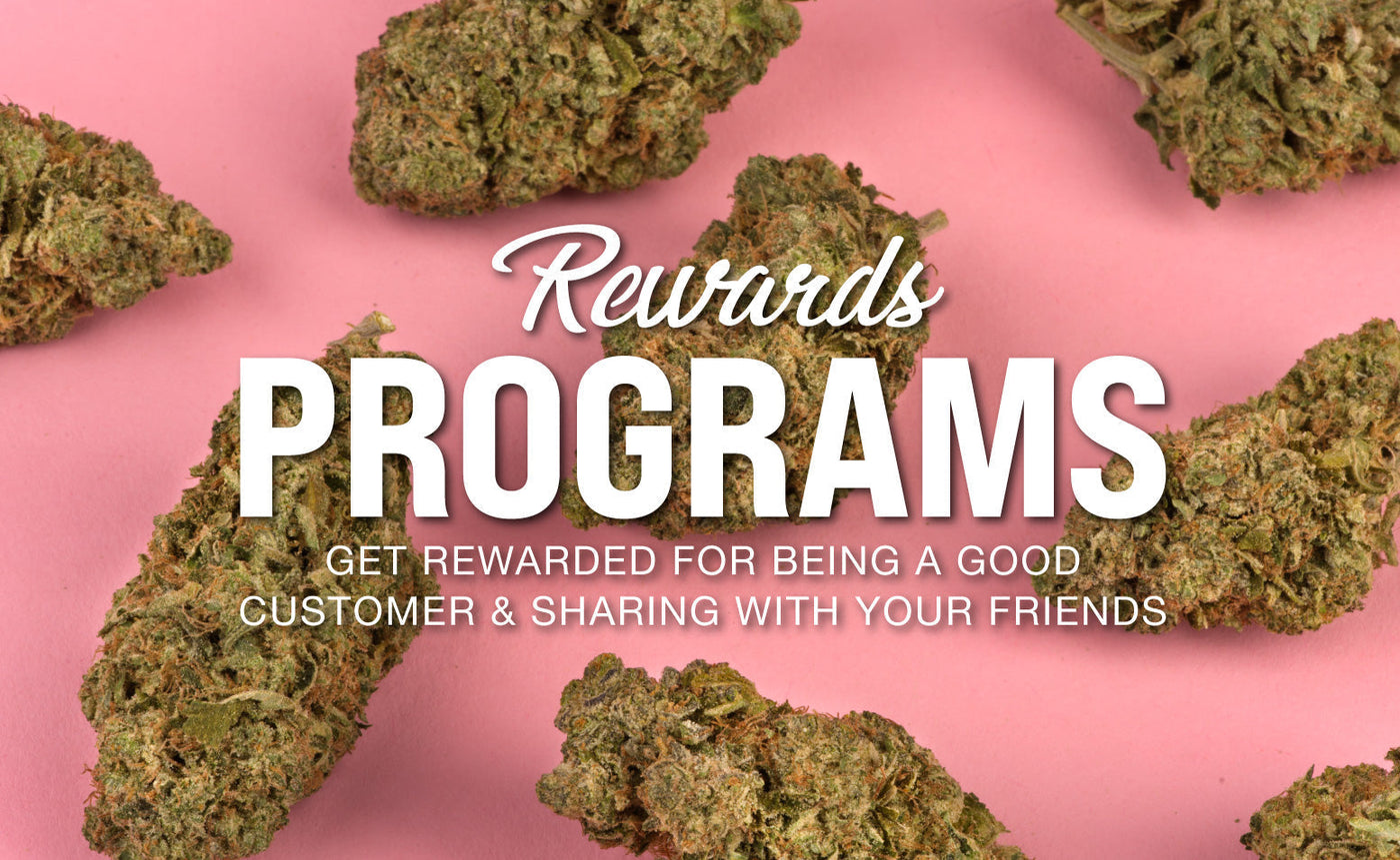 Our Brand-New Loyalty Rewards System Has Arrived!