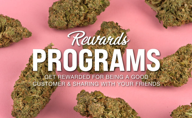 Our Brand-New Loyalty Rewards System Has Arrived!