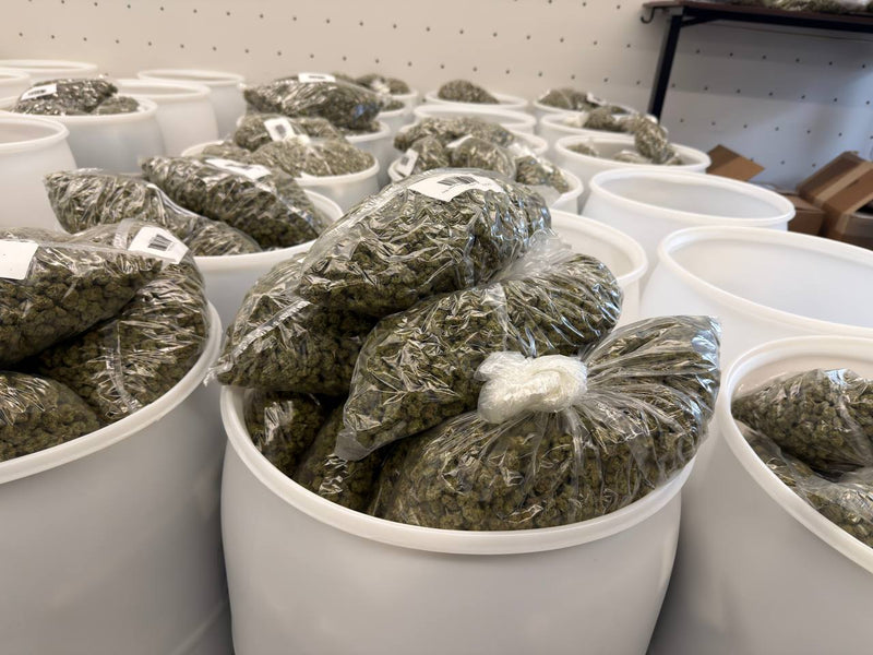 Buying THCA Flower Wholesale: What to Know Before Ordering by the Pound