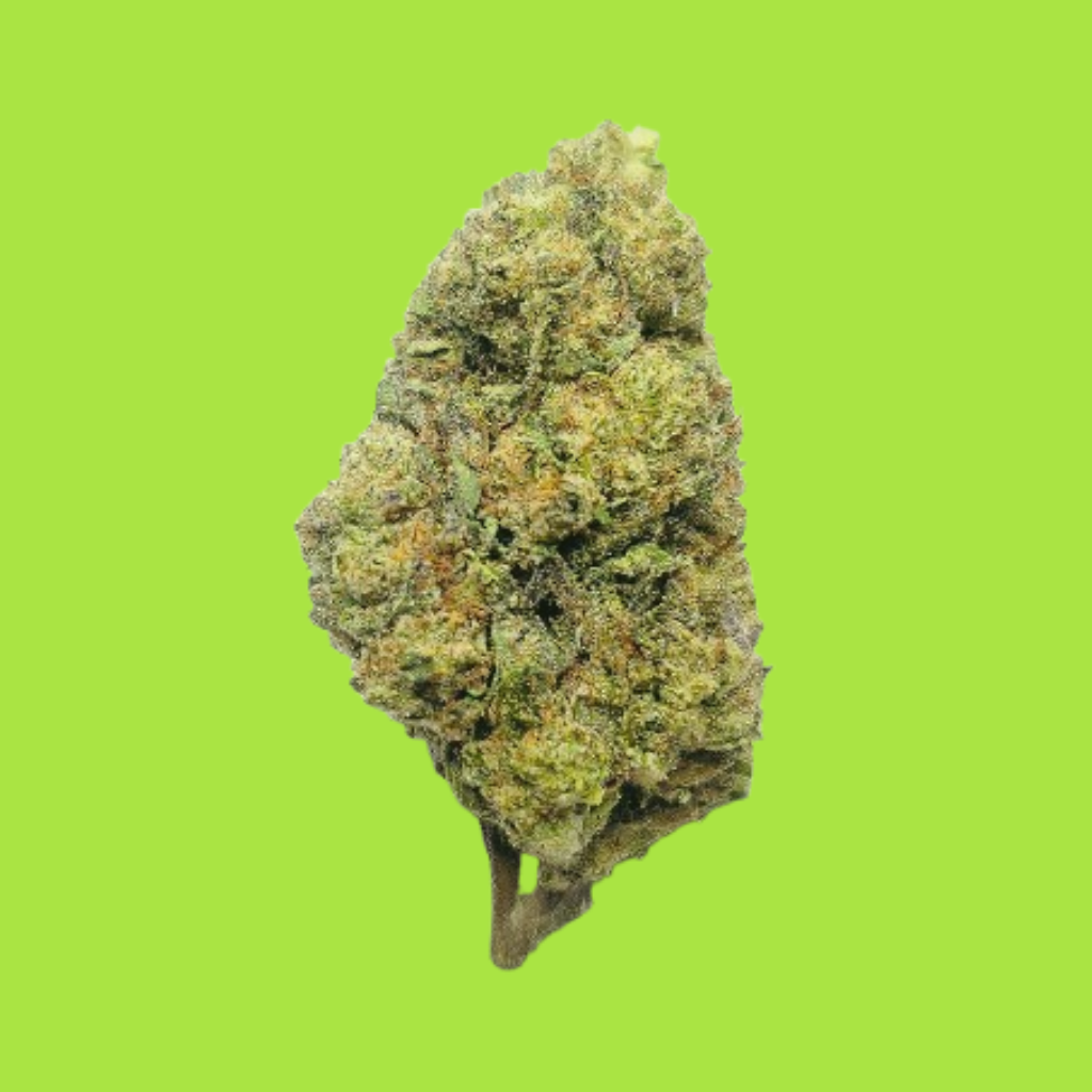 Essential Tier THCA flower bud close-up with frosty trichomes and bright green background.