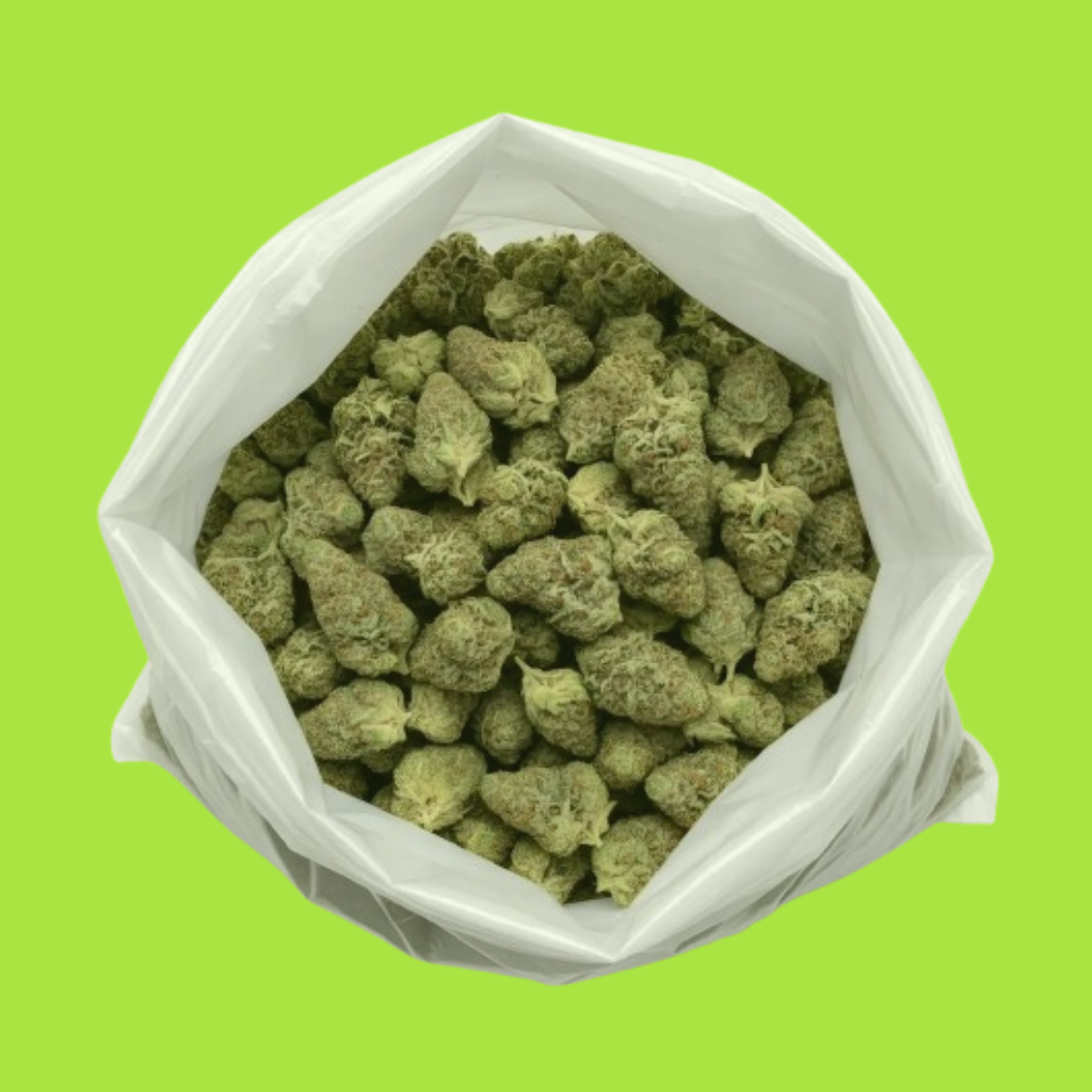 Essential Tier THCA flower bud close-up with frosty trichomes and bright green background.