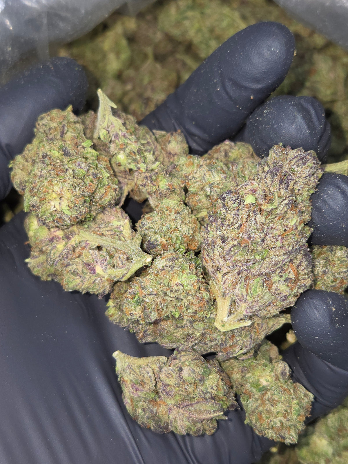 Sundae Driver