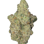 Alien Cherry