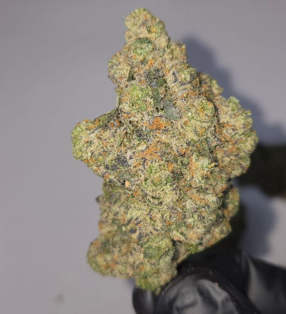 Close-up of a clump of green cannabis on a gray background