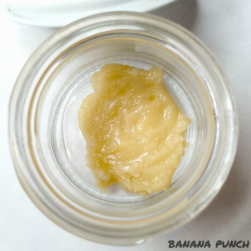 Solventless THCA Live Hash Rosin