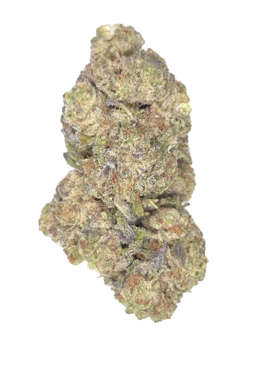 Close-up of a cannabis bud on a white background