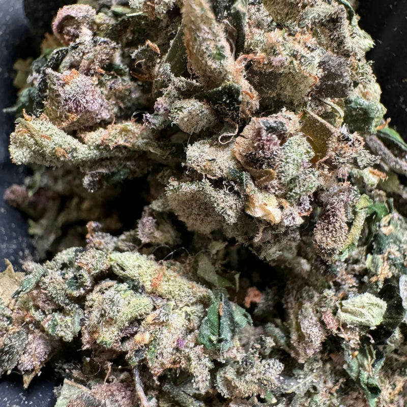 Black Ice Exotic Indoor - Trim