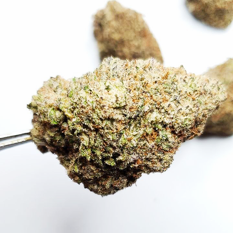 Close-up of a cannabis bud on a white background