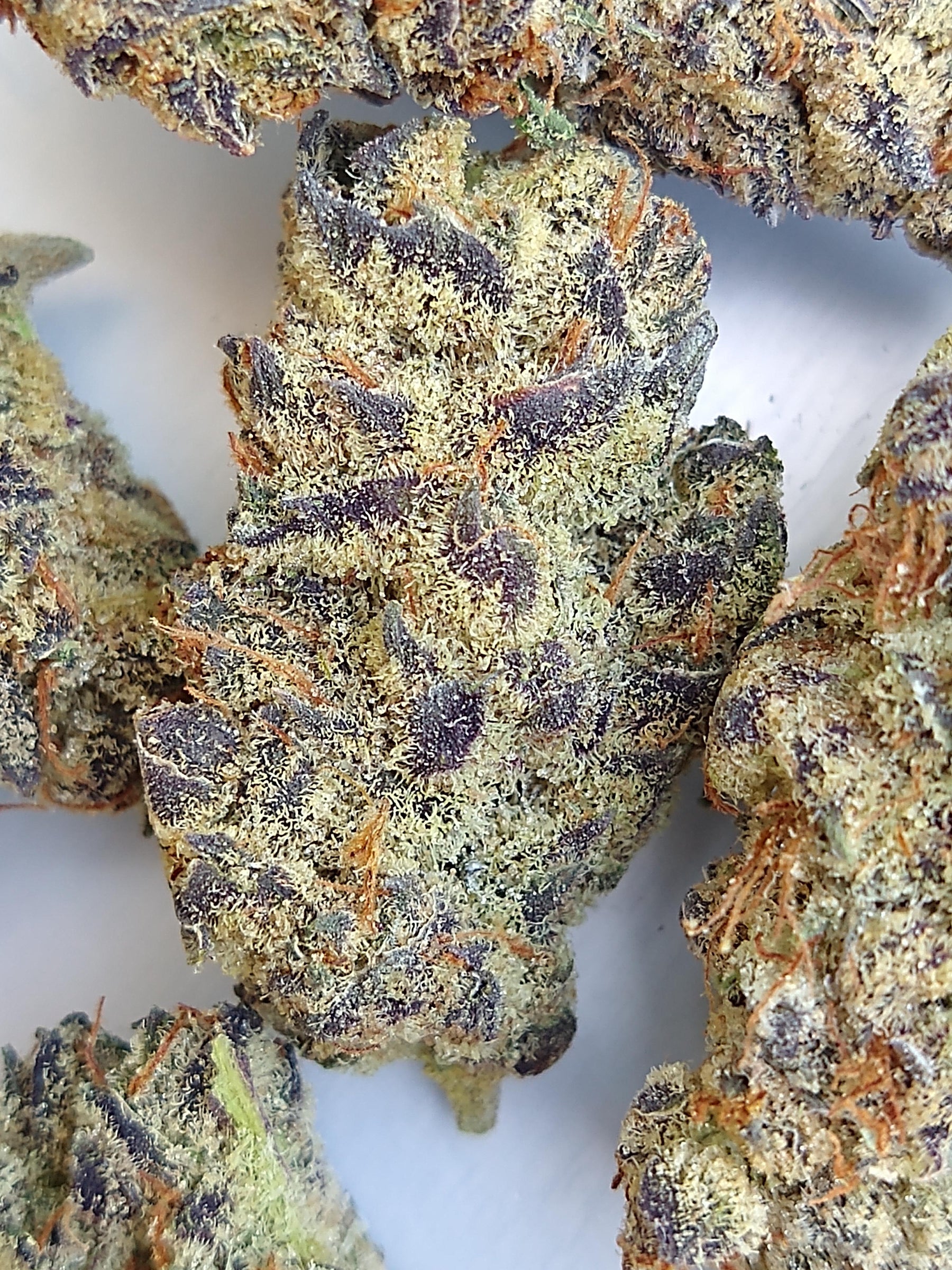 Blueberry Caviar