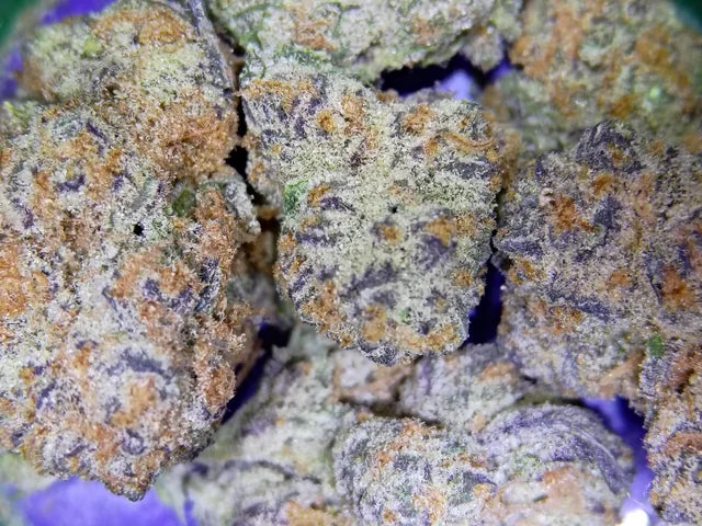 Blueberry Caviar