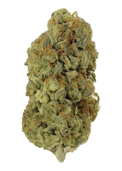 E85 (Bulk Only)