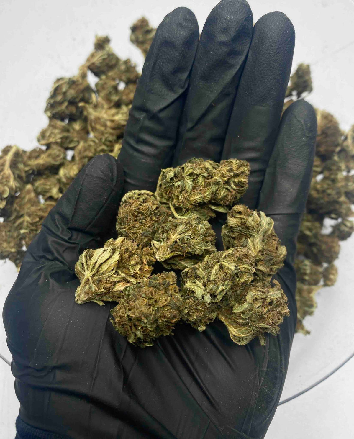 Fire OG