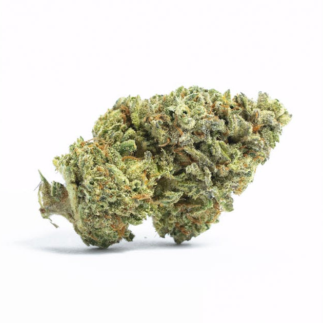 GG #4 (Original Glue)