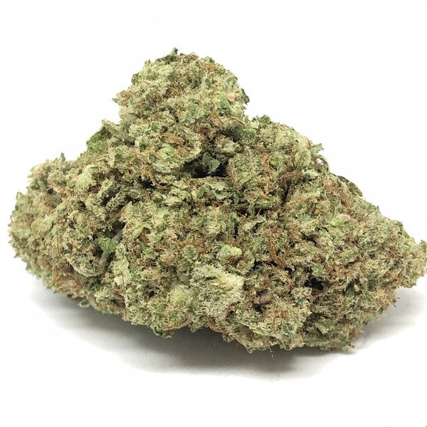 Gelato - Bulk