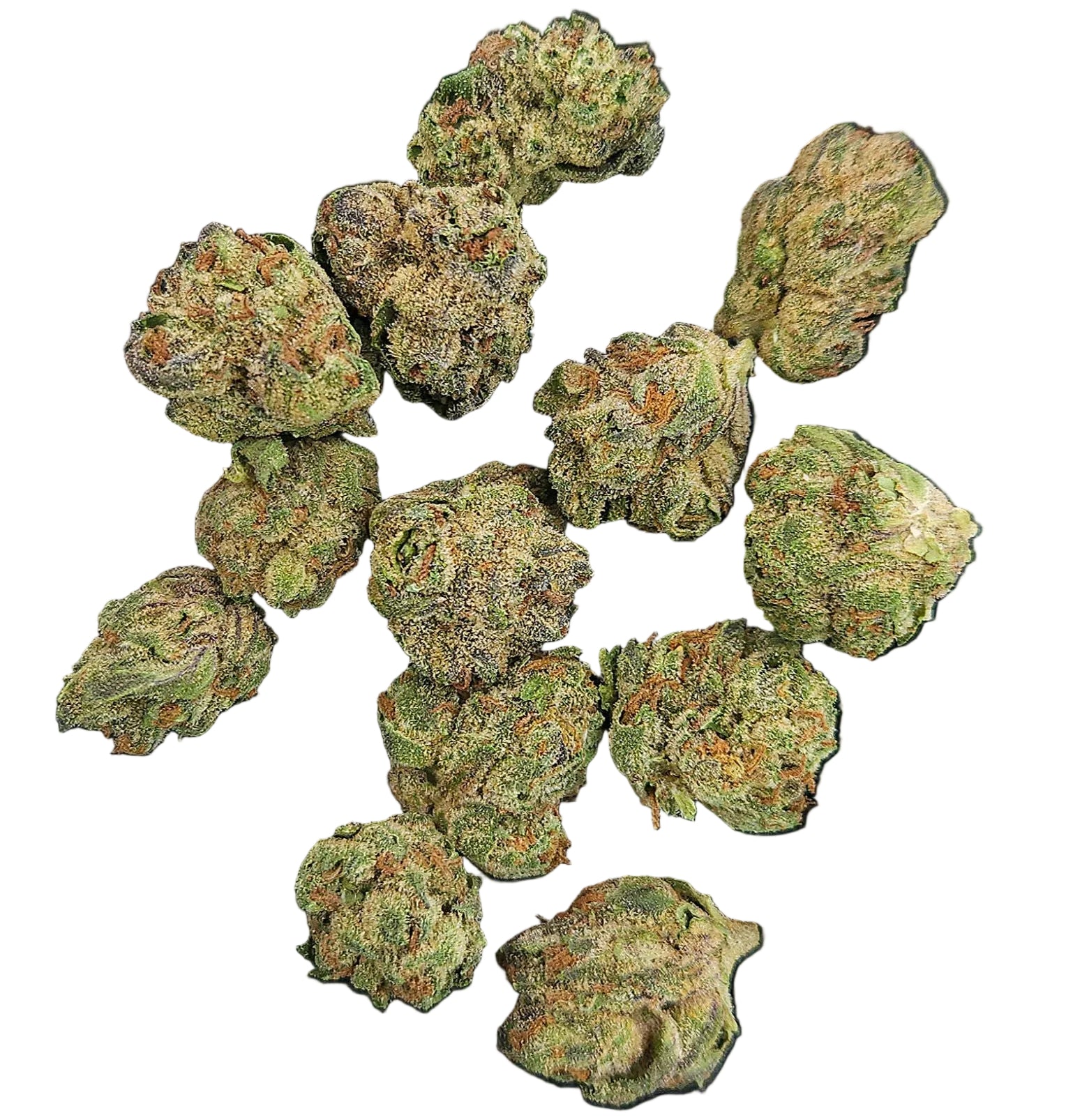 Gelato Plus - Smalls