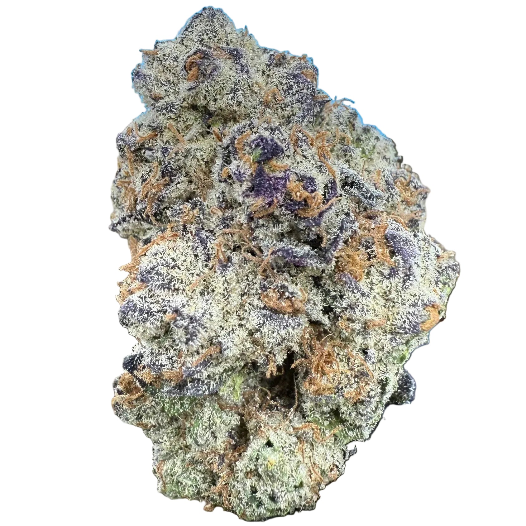 Close-up of cannabis buds with a blue label reading 'Glitter Biscotti' in the background.