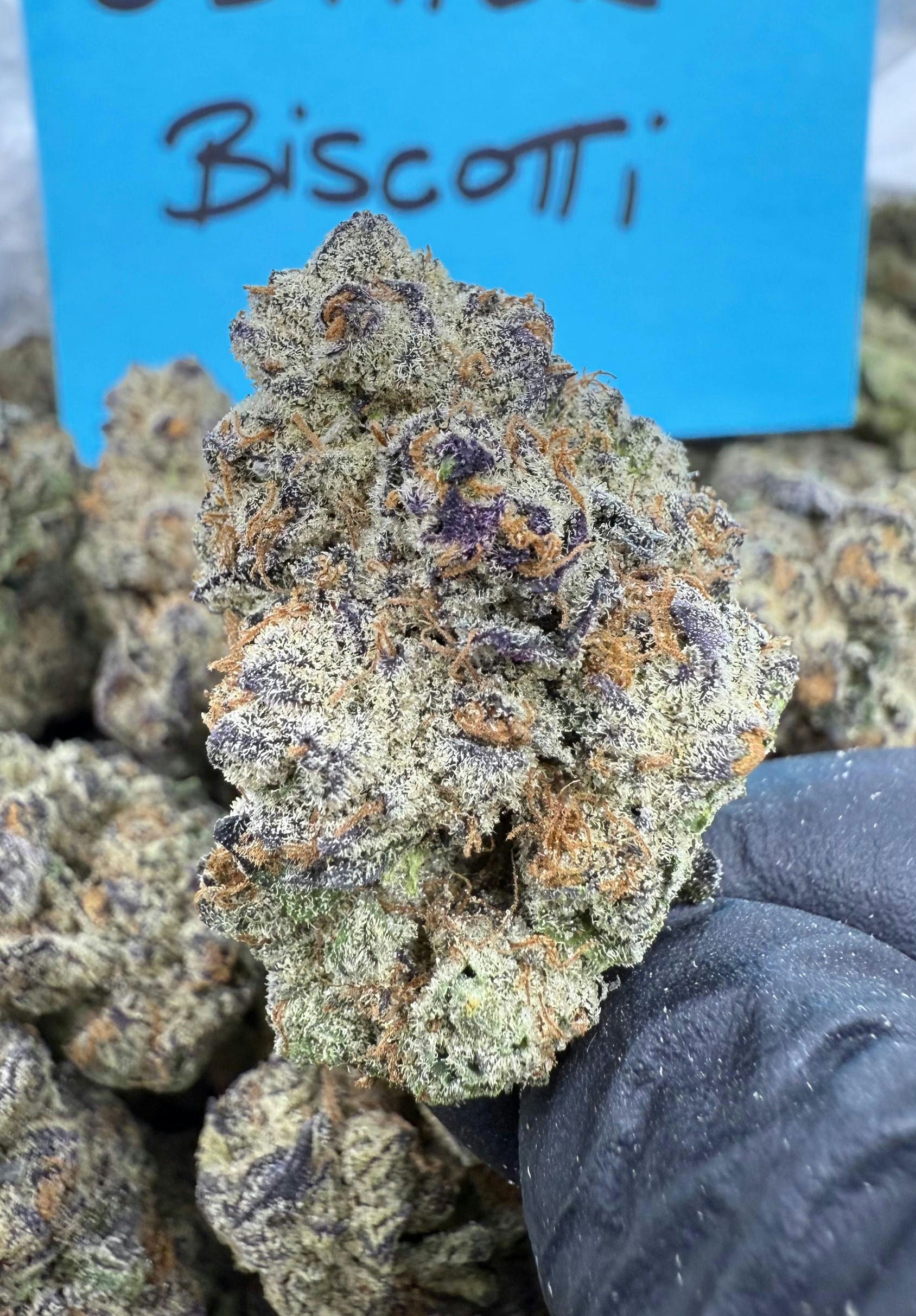 Glitter Biscotti