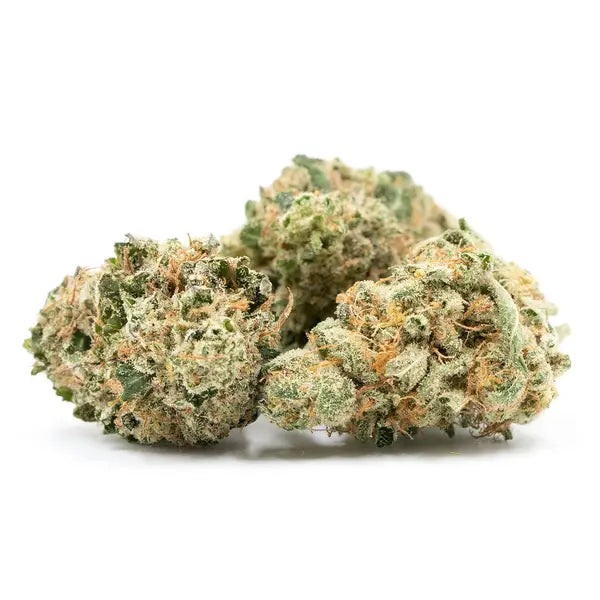 GG #4 (Original Glue)