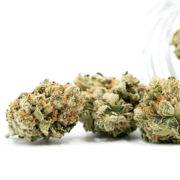 GG #4 (Original Glue)
