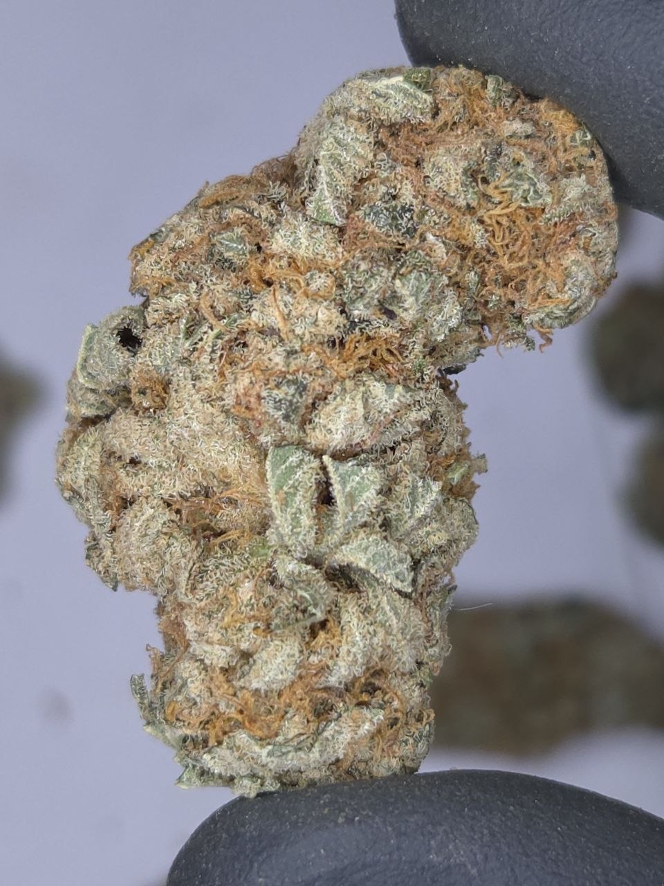 Gorilla Gas - 2oz Top-Self Deal - Pre-Ban THCA Deal