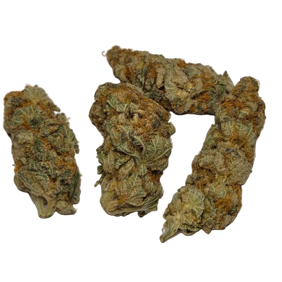 Gorilla Gas F1