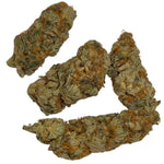 Gorilla Gas F1