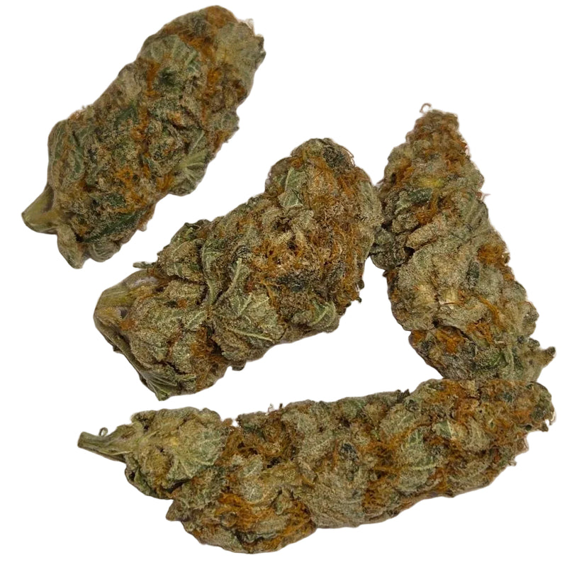 Gorilla Gas F1