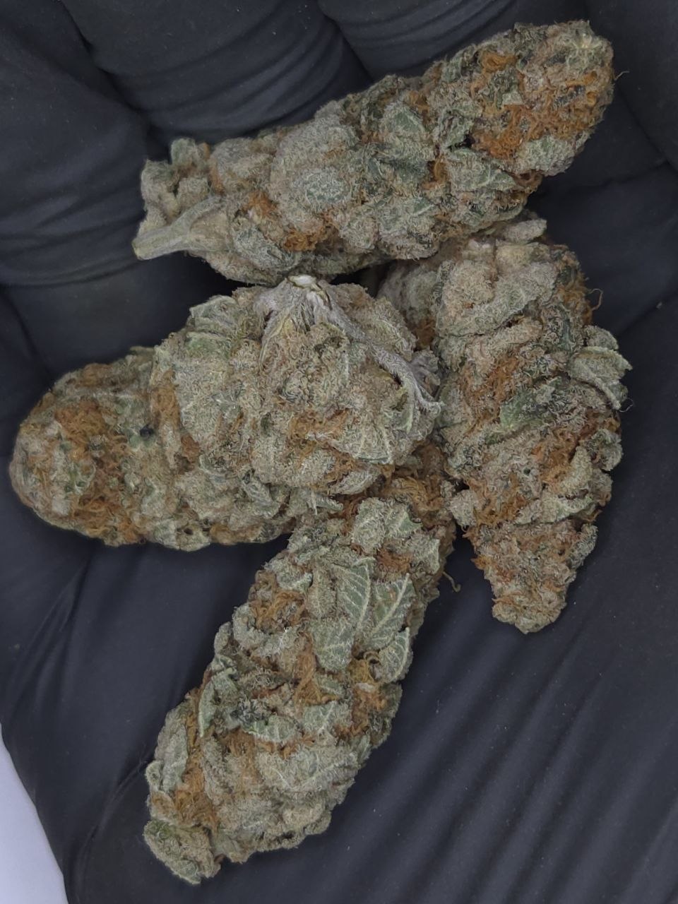 Gorilla Gas - 2oz Top-Self Deal - Pre-Ban THCA Deal
