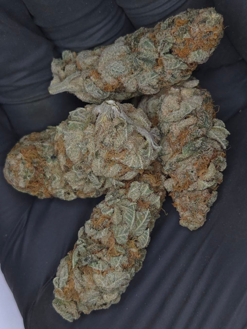 Gorilla Gas - 2oz Top-Self Deal - Pre-Ban THCA Deal