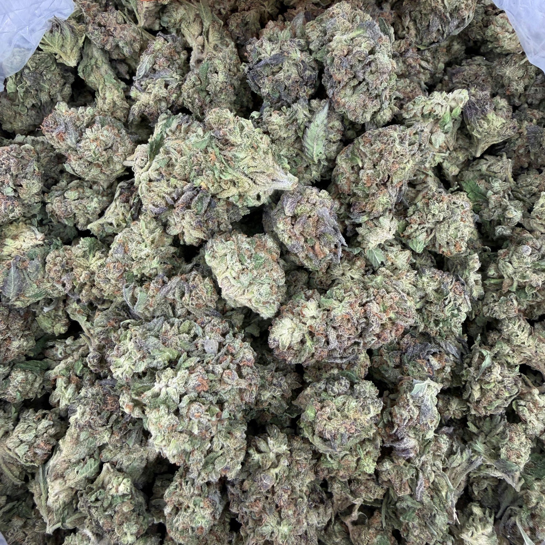 Marijuana buds labeled 'Guava Runtz' on a white background
