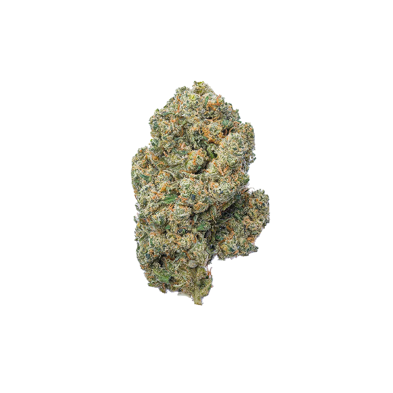 Wholesale Jack Herer indoor THCA flower bud close up / Bulk 32% THCA Jack Herer flower
