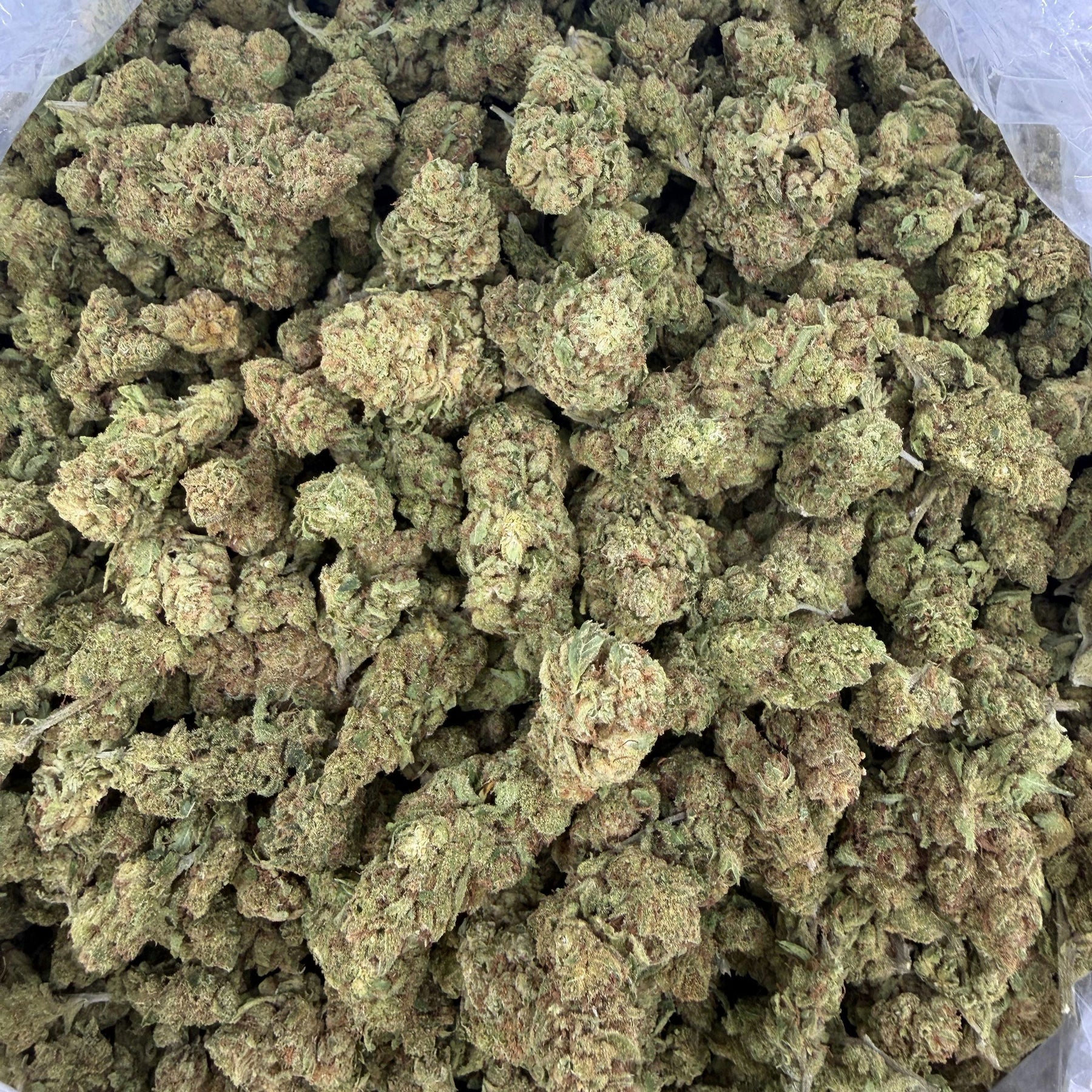 Marijuana buds labeled 'Lemon Drop' on a white background