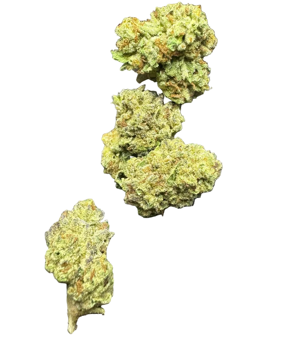 Green cannabis buds held in gloved hands against a dark background