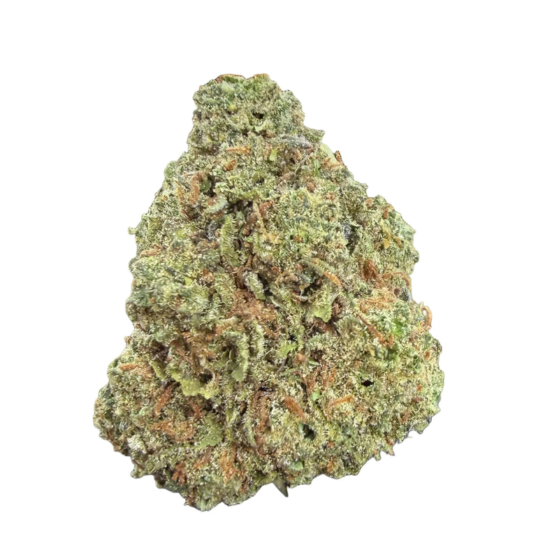 biscotti thca flower bud