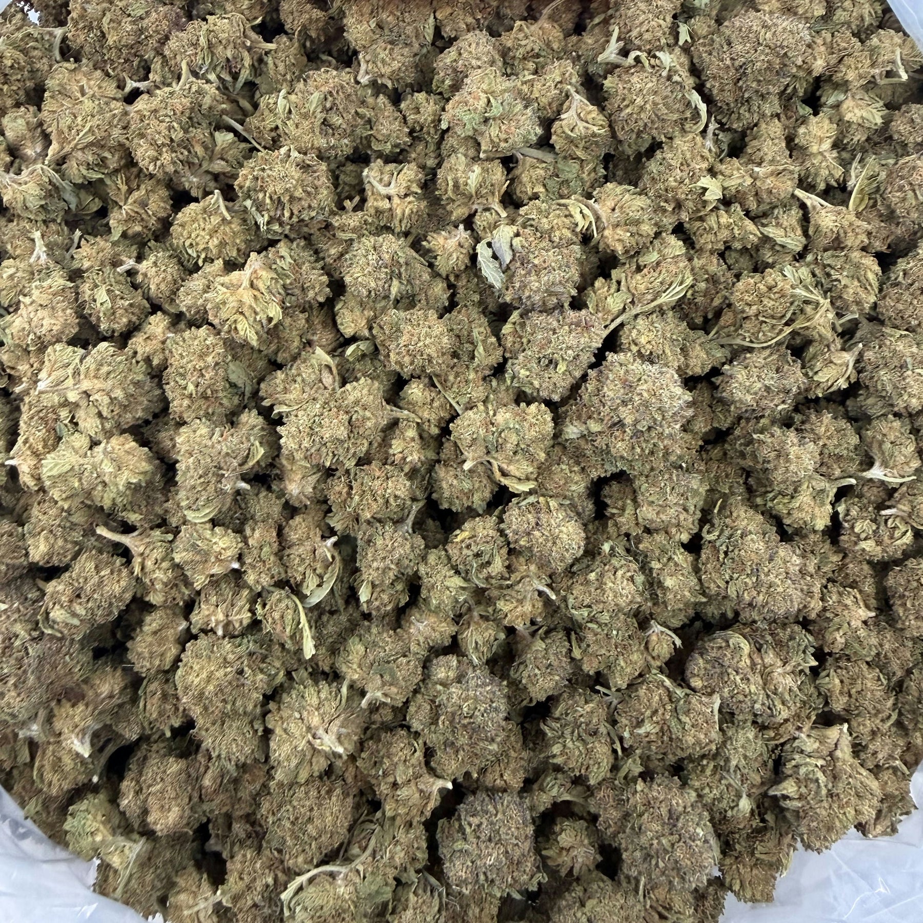Bag of cannabis buds with a label reading 'Oreoz' on a white background