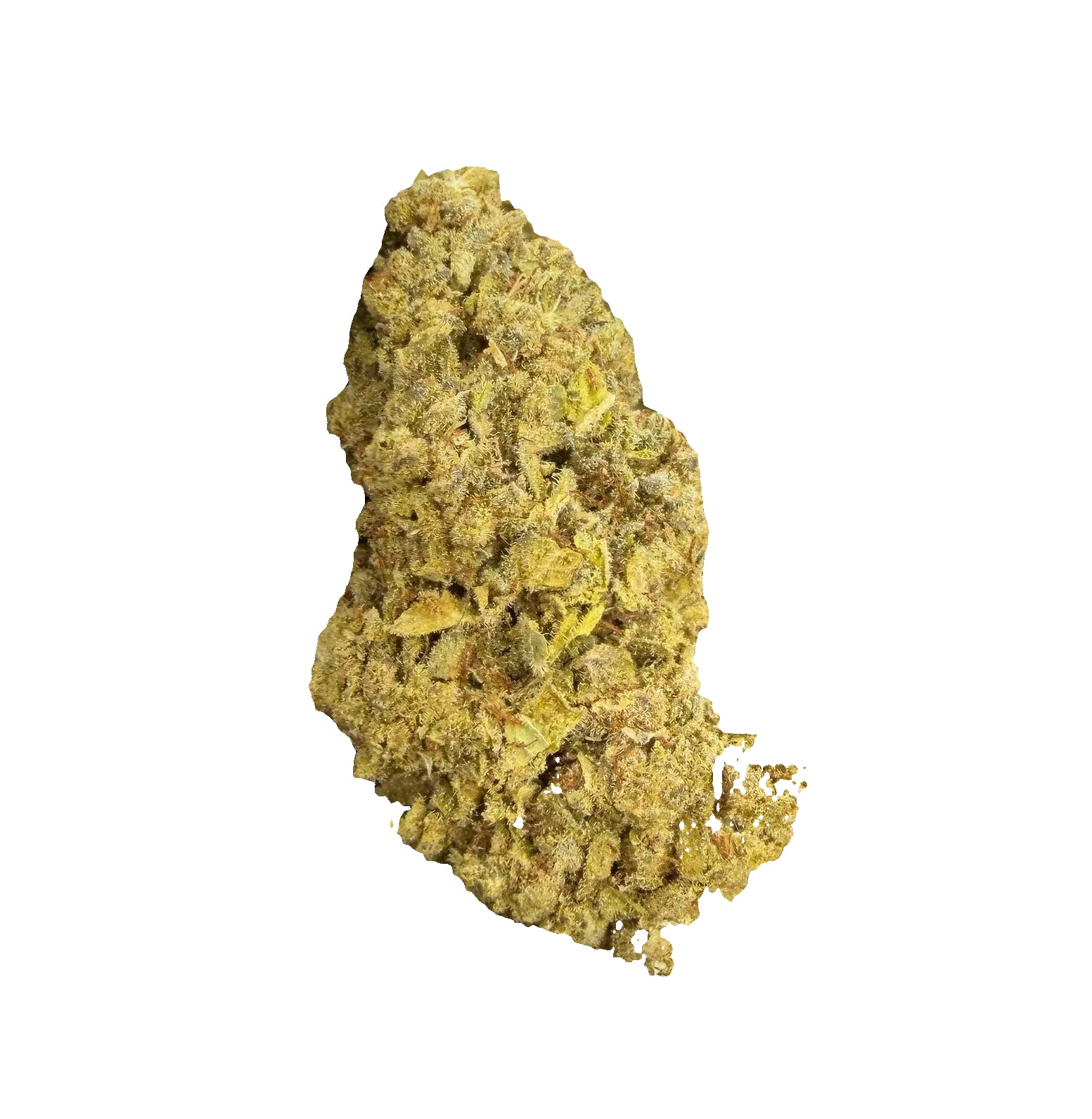 Hand holding cannabis buds with a green label labeled 'Pablo's Revenge' on a white background.