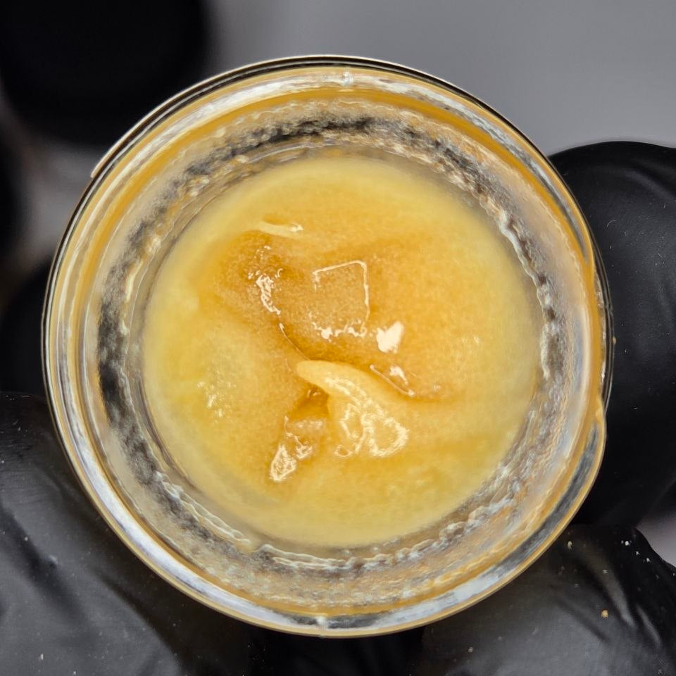 Close-up of a glass container with a yellowish substance, held by a gloved hand.