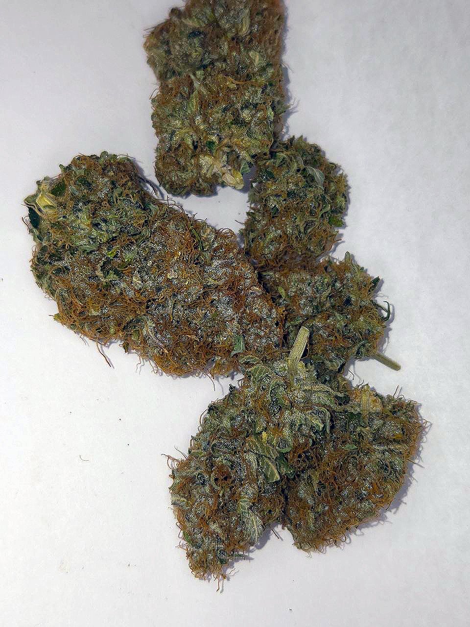 Purple Lemonade
