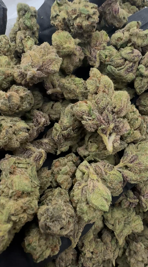 Rainbow Beltz (Bulk Only)