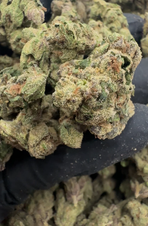 Rainbow Beltz (Bulk Only)