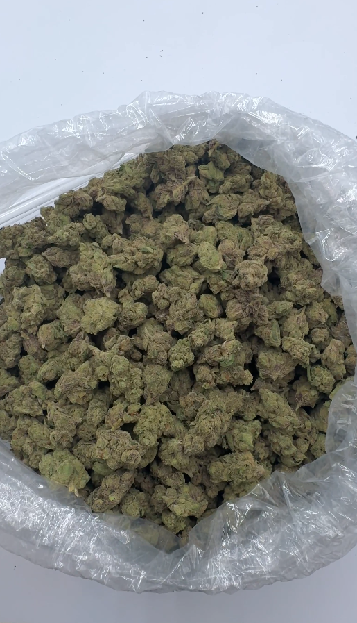 Rainbow Beltz (Bulk Only)