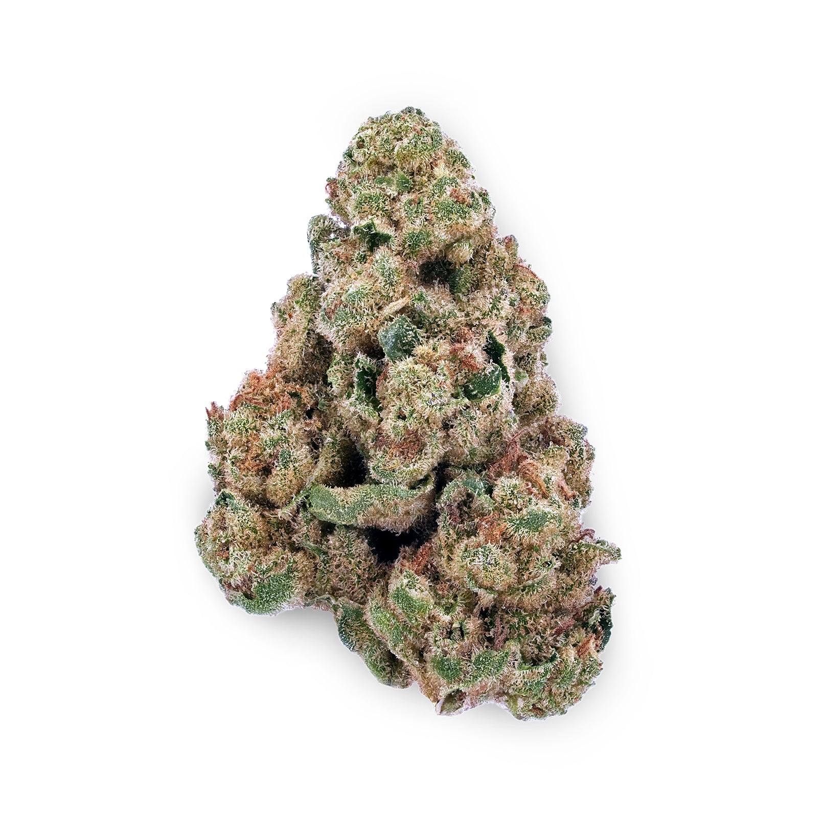 Rainbow Beltz (Bulk Only)
