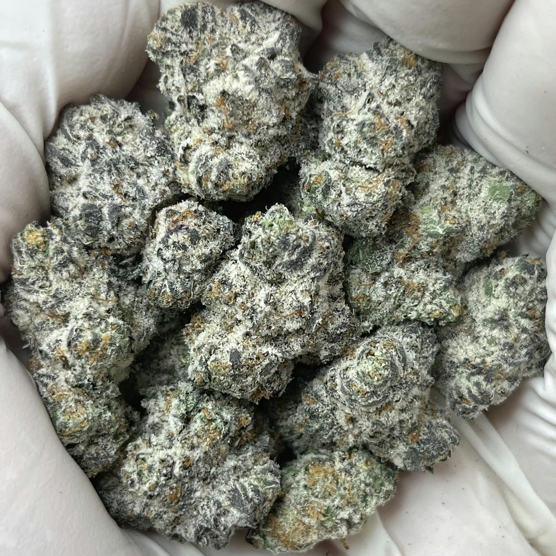 Secret Cookies - Bulk