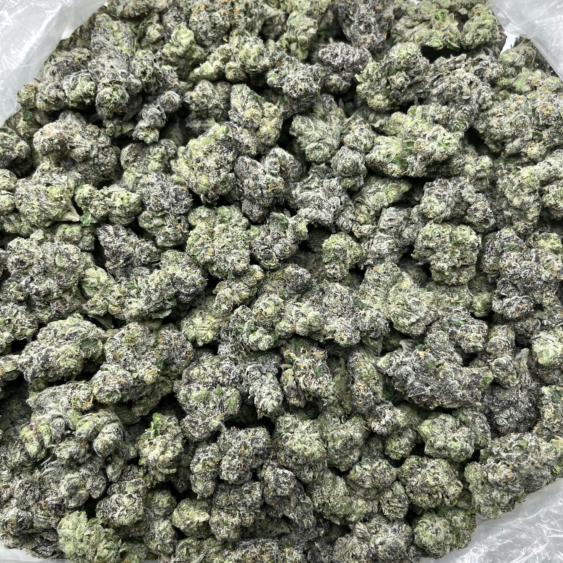 Close-up of green cannabis buds on a white background