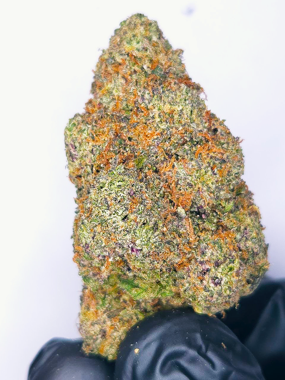Taffy Twist
