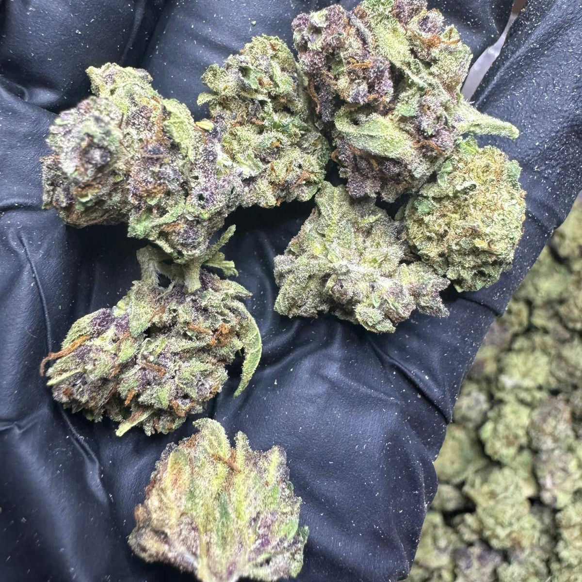 Tropicana Cherry - Smalls