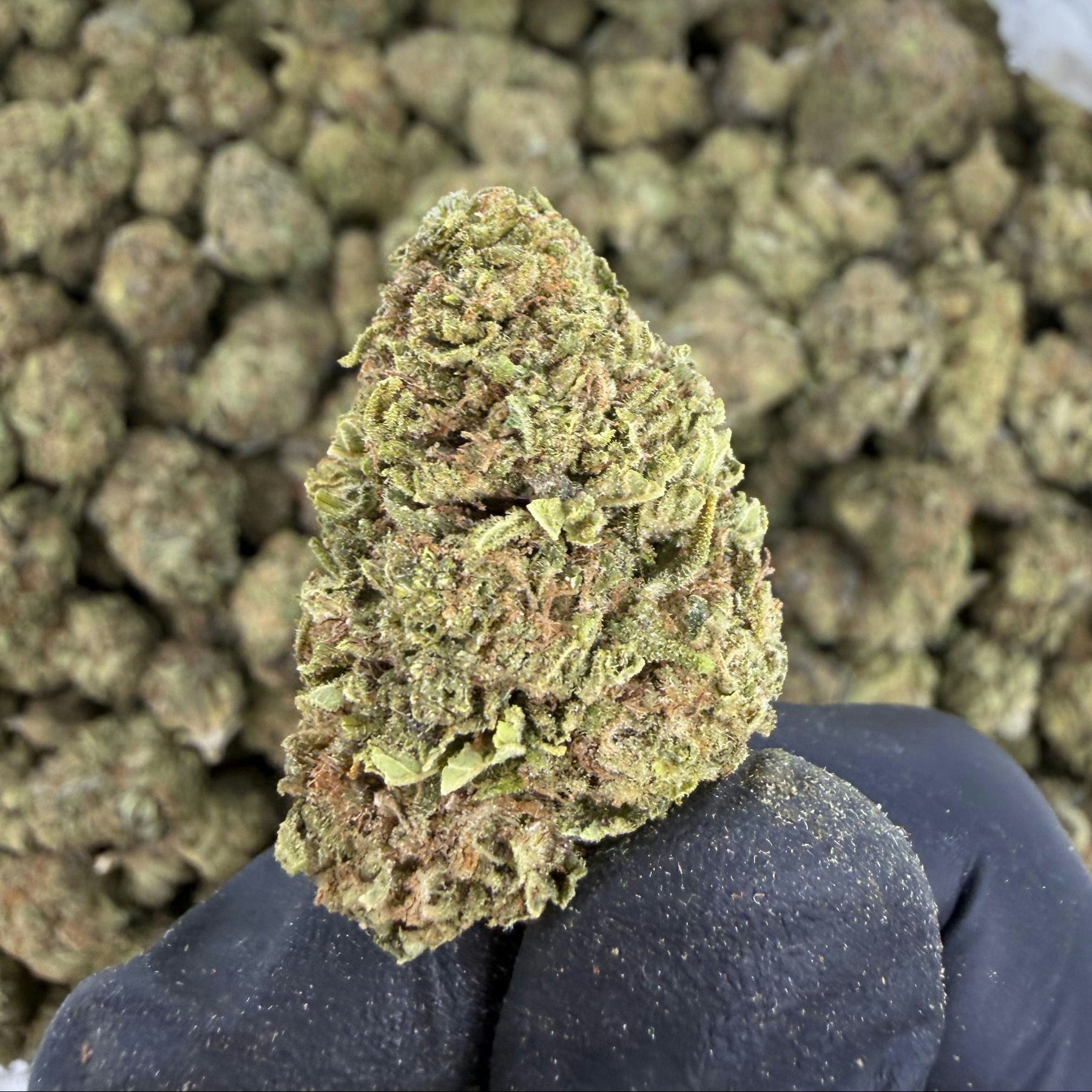 Wedding Cake - Bulk