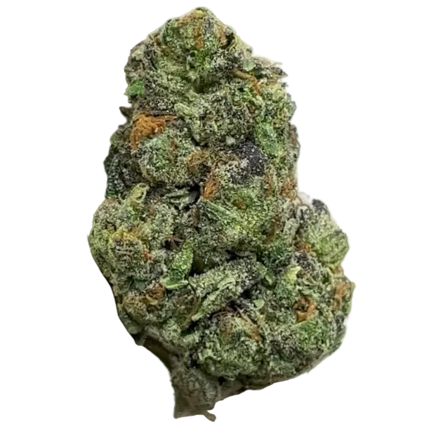 A close-up of a textured green cannabis bud held between white gloved hands, with a blurred green background.