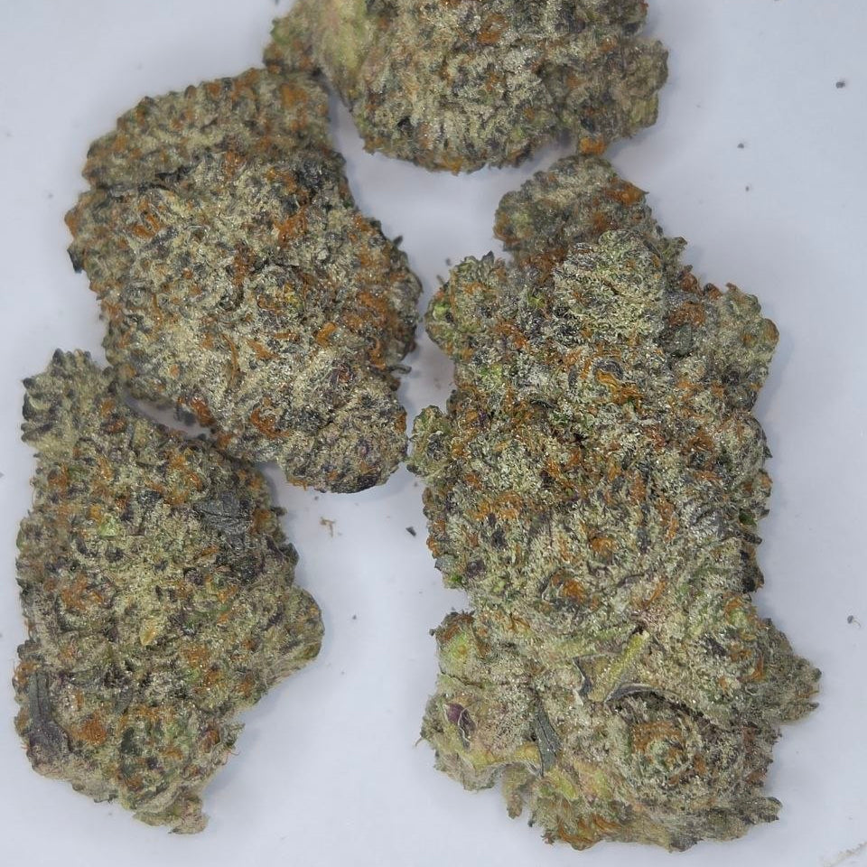 Close-up of dried cannabis buds on a white background